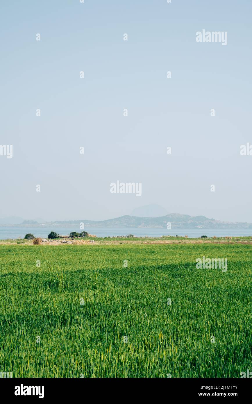 Gapado isola campo verde e mare in Jeju isola, Corea Foto Stock