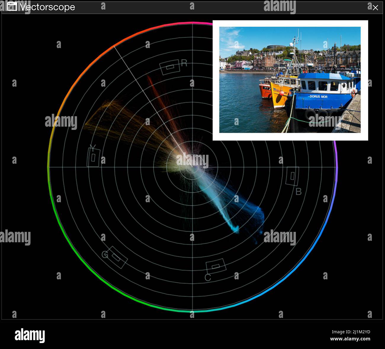 Grafico vettorscope che mostra l'analisi dei colori con l'immagine Alamy MXEWGX (inset). Il grafico è stato prodotto utilizzando il software NBE Omniscope. Foto Stock