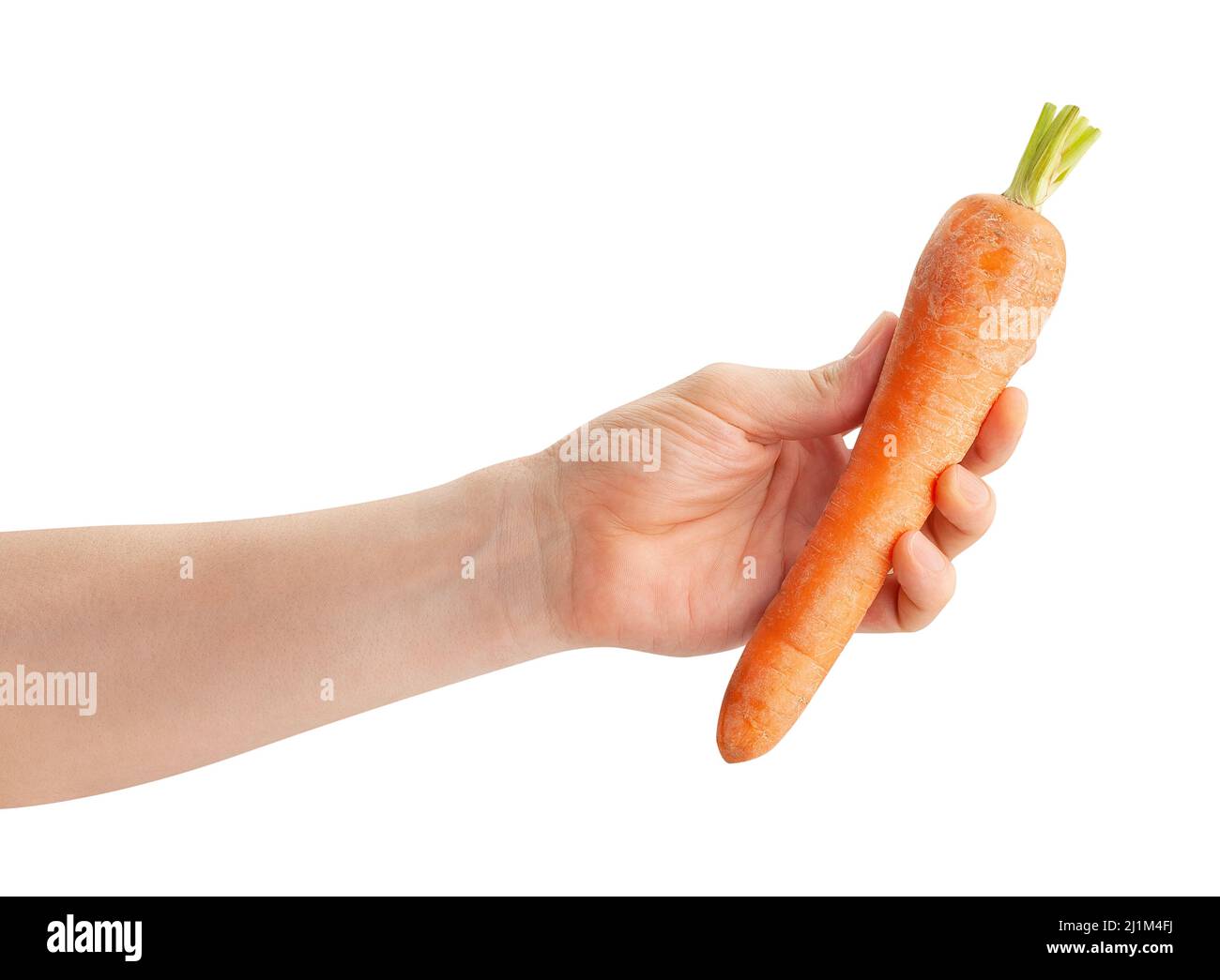 carota in mano sentiero isolato su bianco Foto Stock