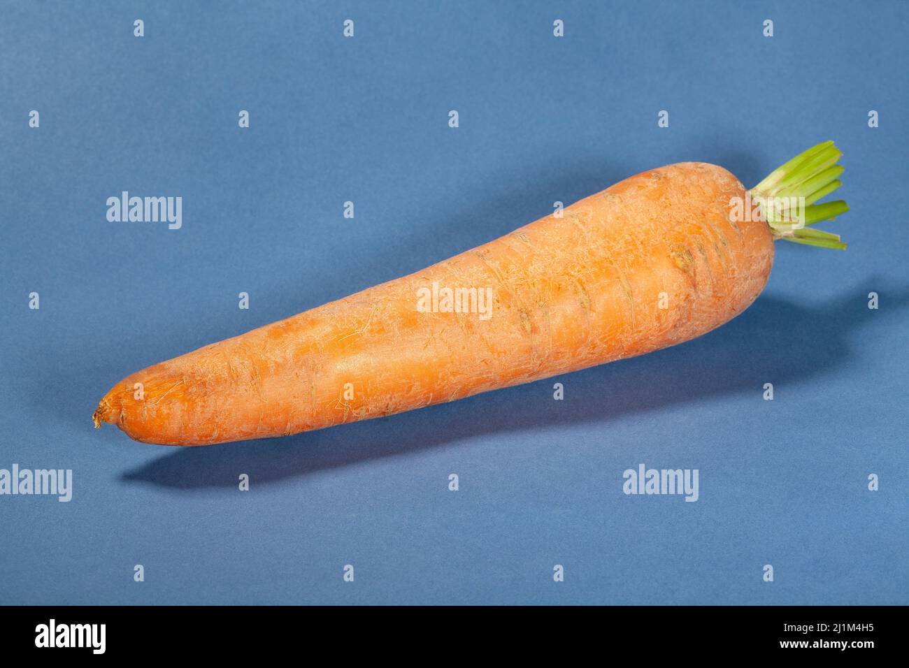 una carota su sfondo blu Foto Stock