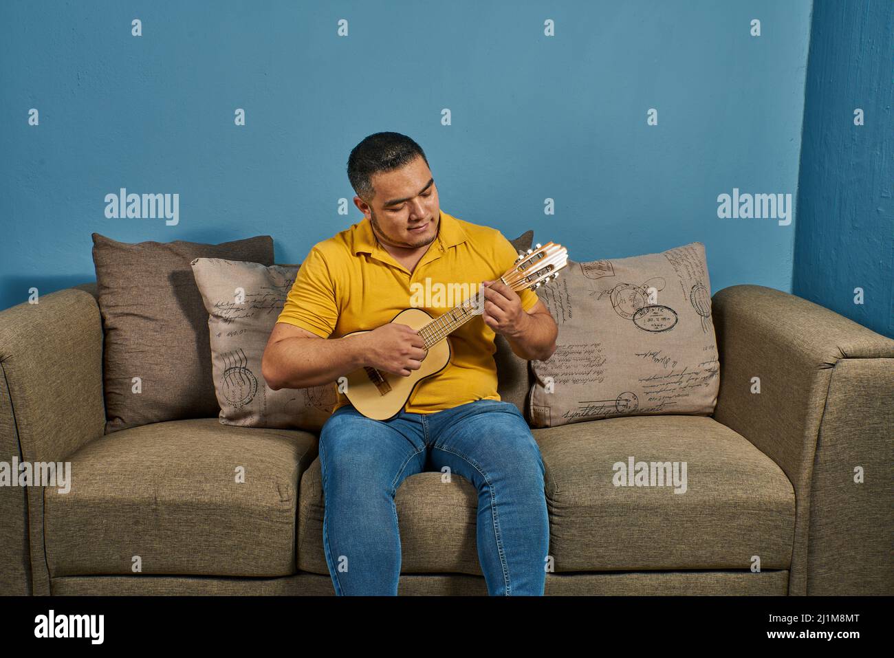 Scopo di imparare la chitarra online con lezioni dal vivo Foto Stock