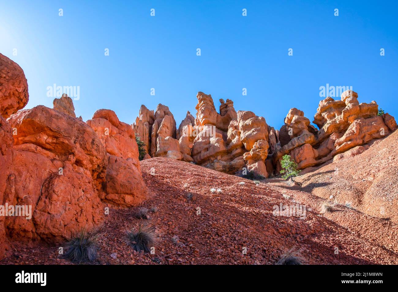 Una vista sulla natura a Dixie National Forest, Utah Foto Stock