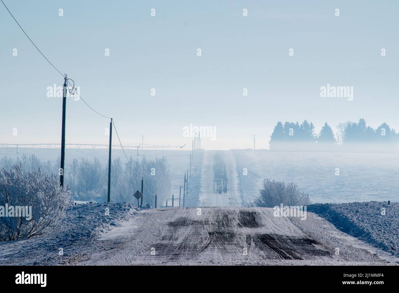 Tipica strada rurale ghiaiosa in Alberta. Vicino Rosebud, Alberta, Canada, 11 marzo 2018. Foto Stock