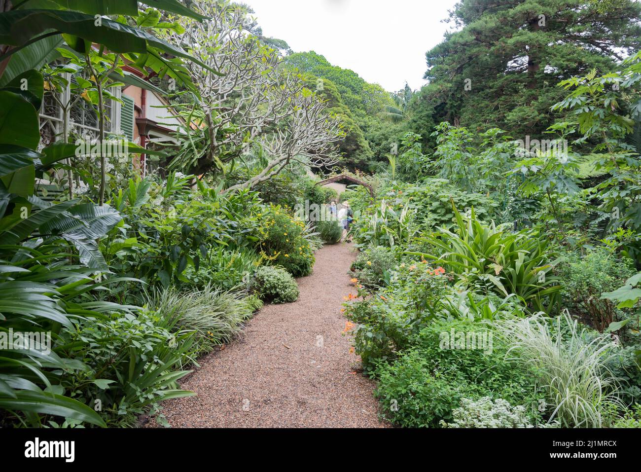 I giardini dello storico 1845 costruito, Bronte House nel sobborgo dello stesso nome a Sydney, Australia sono considerati a livello botanico Foto Stock