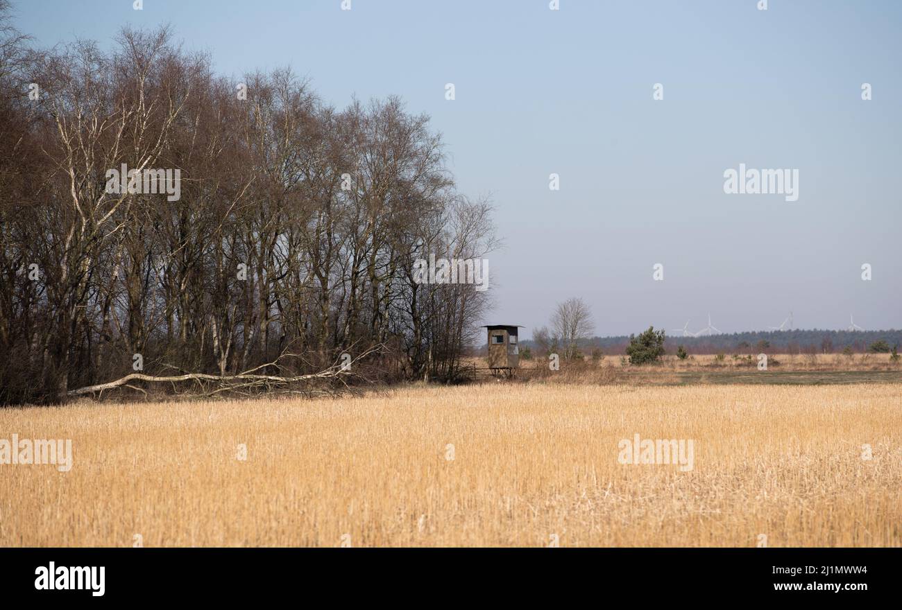 PRODUZIONE - 09 marzo 2022, bassa Sassonia, Ströhen: Vista di un'area agricola con un'area di palude alle sue spalle. A causa della protezione del clima, nei prossimi anni verranno rinaturalizzate anche le ex aree di brughiera utilizzate a fini agricoli. Gli effetti concreti non sono ancora chiari per gli agricoltori. Foto: Friso Gentsch/dpa Foto Stock