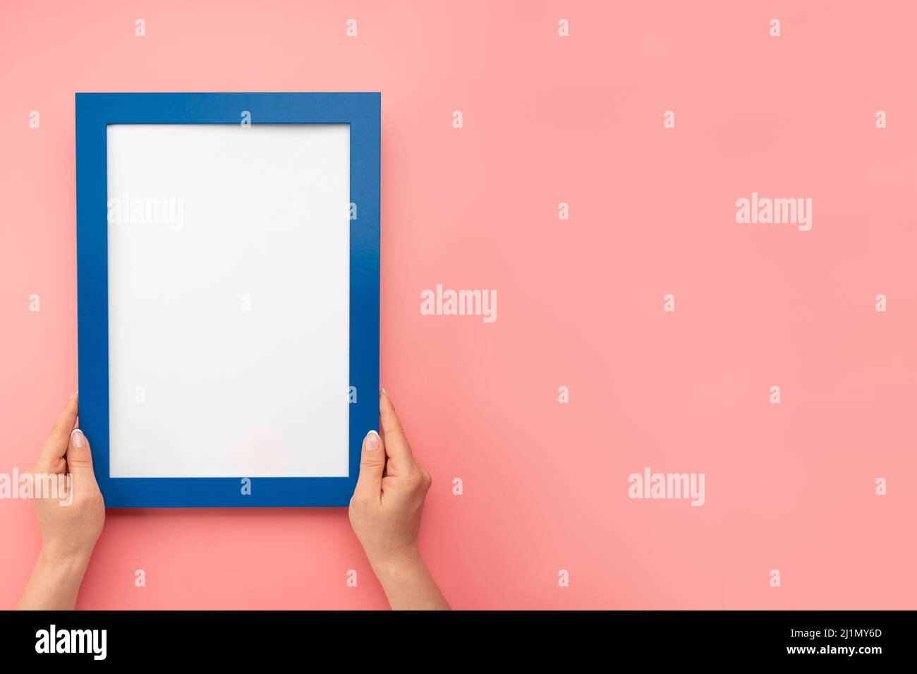 Donna tenere bianco diploma cornice su sfondo rosa parete. Le mani femminili tengono il telaio vuoto del mockup. Mano ritagliata di donna che tiene cornice foto contro rosa Foto Stock