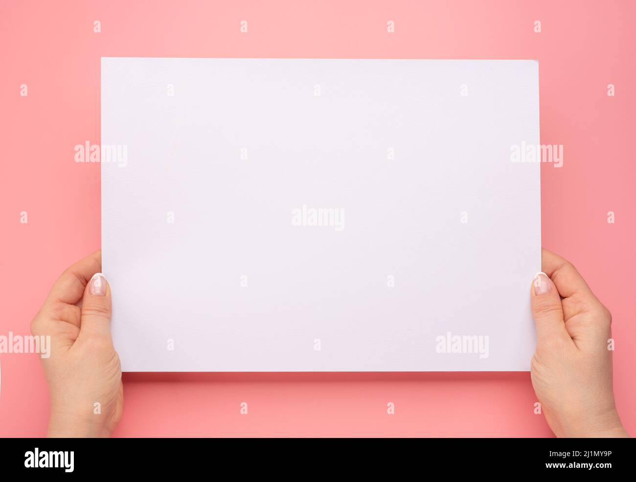 Le mani femminili trattengono carta bianca isolata su sfondo rosa. Donna mani con mockup foglio di carta vuoto su sfondo rosa. Mani che tengono in bianco l'annuncio Foto Stock