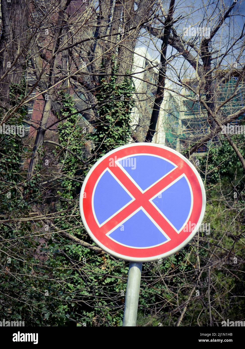 Cartello Cartello Vietato Parcheggiare Autoveicoli Nel Cortile Materiale E Formato Segnaletica Di Divieto C Alluminio 300x450 Mm Conf 10 Pz - Foto 7