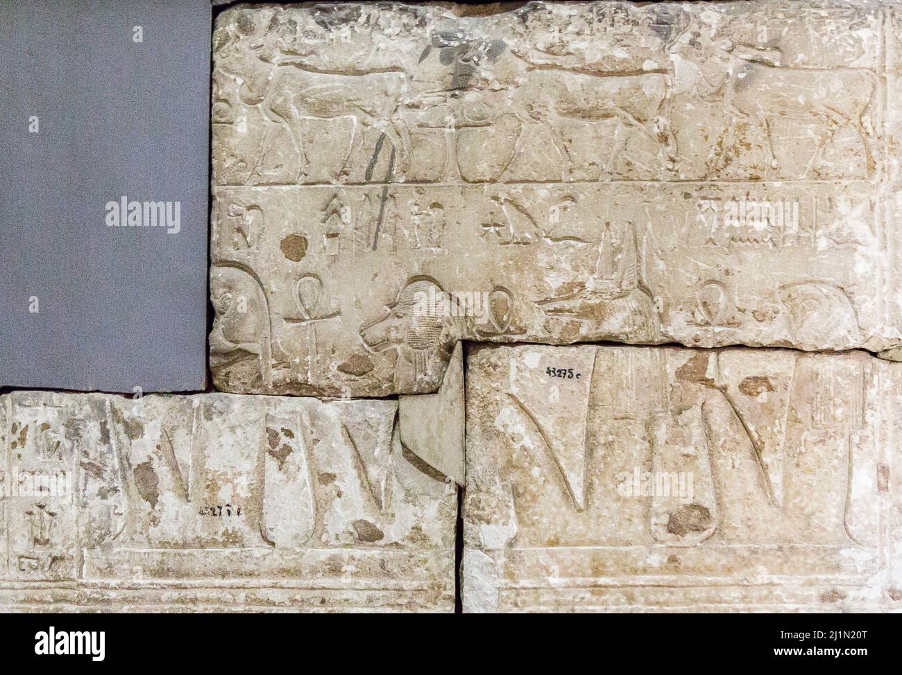 Cairo, Museo Egizio, rilievo della tomba di Kayri, nuovo Regno, da Saqqara. I quattro figli di Horus e il bestiame. Foto Stock