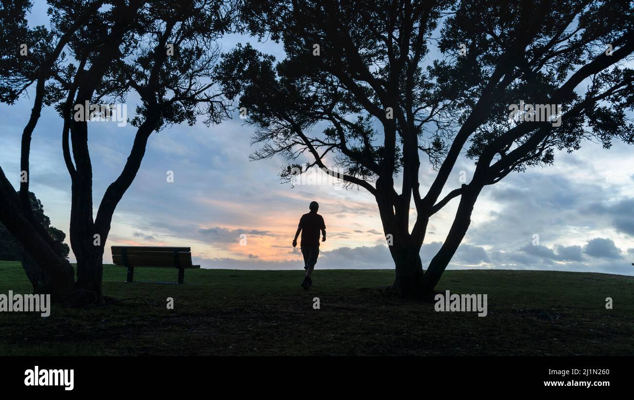 Immagine della silhouette di un uomo che cammina all'alba. Incorniciata da alberi di Pohutukawa. Auckland. Foto Stock