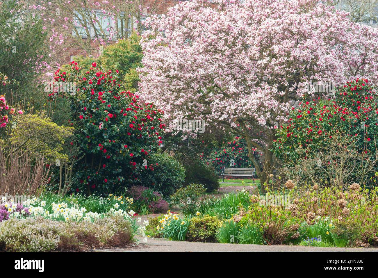 Palmerston Park, Southampton in primavera Foto Stock