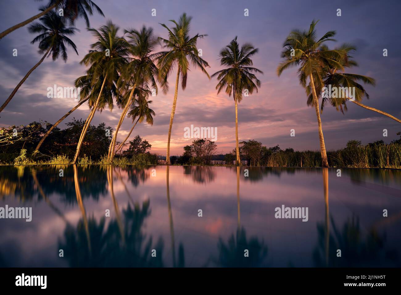 Acqua riflessione di palme da cocco in piscina con vista lago al tramonto. Resort turistico nella splendida natura tropicale. Foto Stock