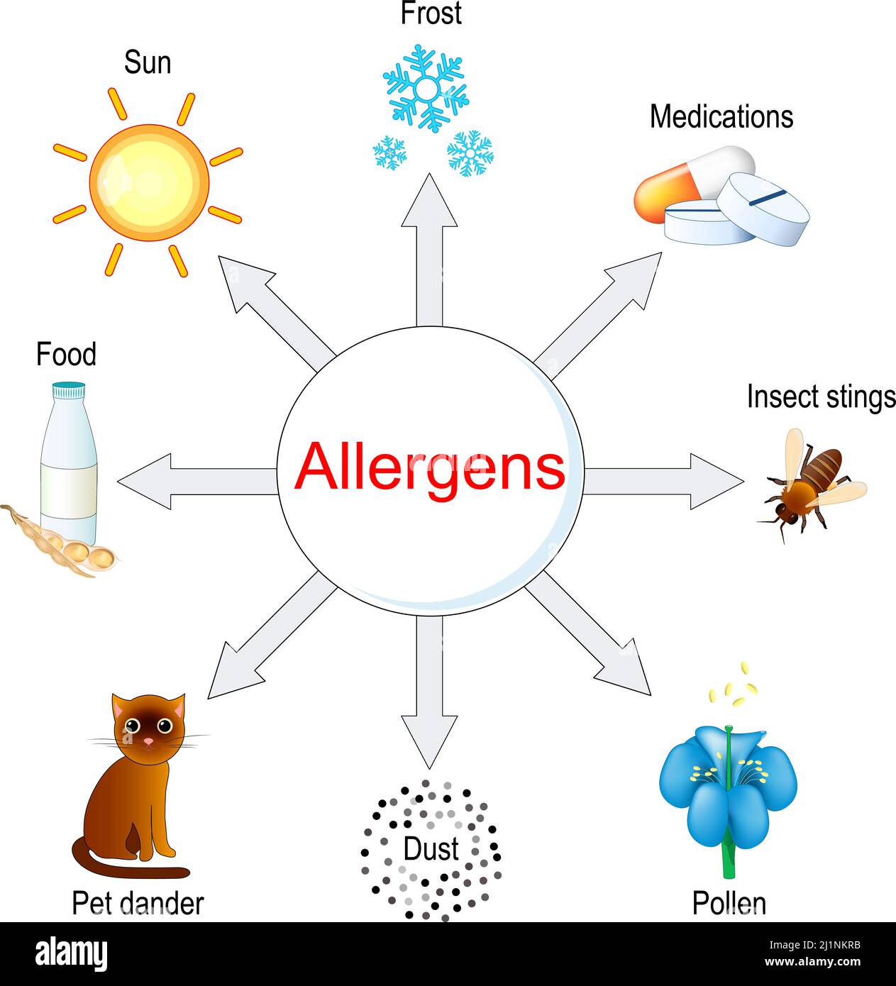 Tipi di allergeni. Illustrazione vettoriale Illustrazione Vettoriale