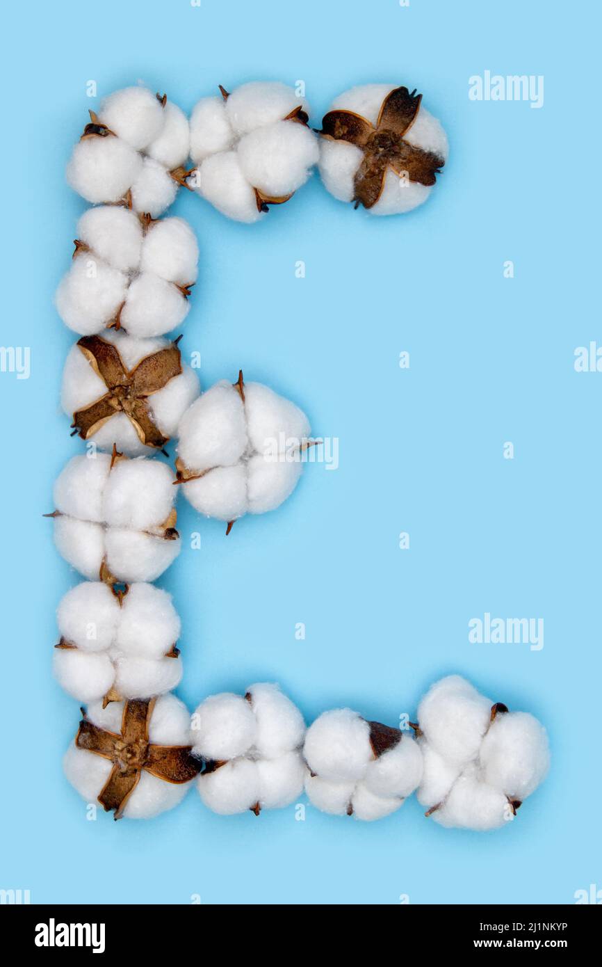 Lettera e fatta di fiori di cotone e isolata su fondo blu massiccio. Concetto di alfabeto floreale. Una lettera del set di caratteri di cotone facile da impilare. Foto Stock