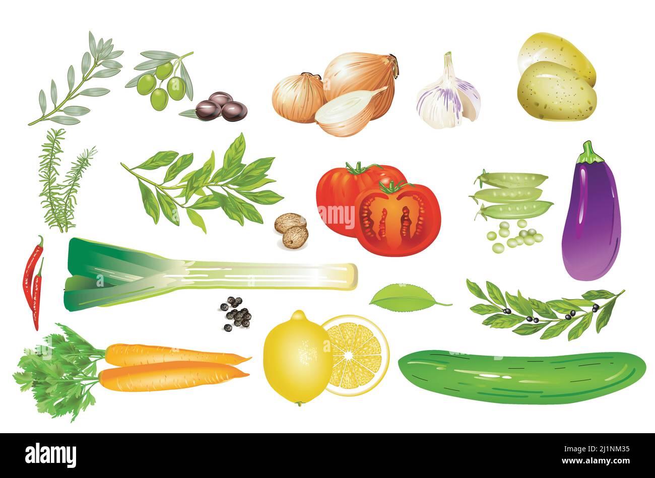 verdure fresche isolate su sfondo bianco. illustrazione Illustrazione Vettoriale