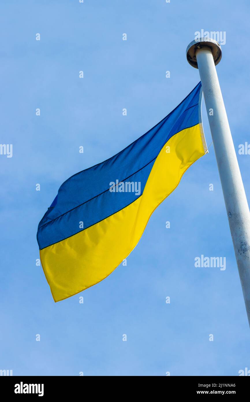 Bandiera gialla e blu dell'Ucraina che sventola contro un cielo blu Foto Stock