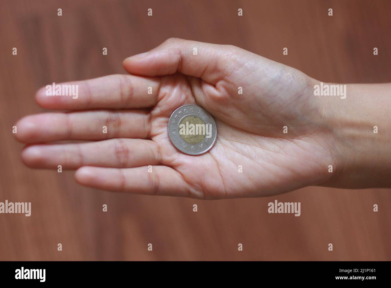 La moneta canadese sulla mano della donna, la moneta nella mano delle donne Foto Stock