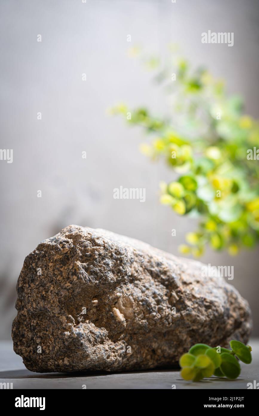 Podio per la regolazione del prodotto, piedistallo, pietra da palco, piattaforma in pietra grigia, blocchi ruvidi posizionamento oggetti con ombre di foglie verdi Foto Stock