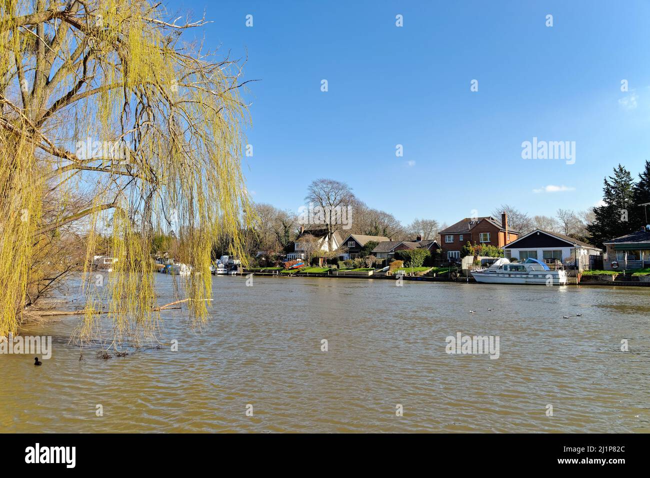 Riverside case sul Tamigi a Old Windsor in una soleggiata primavera Berkshire Inghilterra Regno Unito Foto Stock