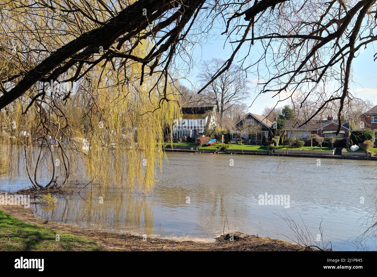 Riverside case sul Tamigi a Old Windsor in una soleggiata primavera Berkshire Inghilterra Regno Unito Foto Stock