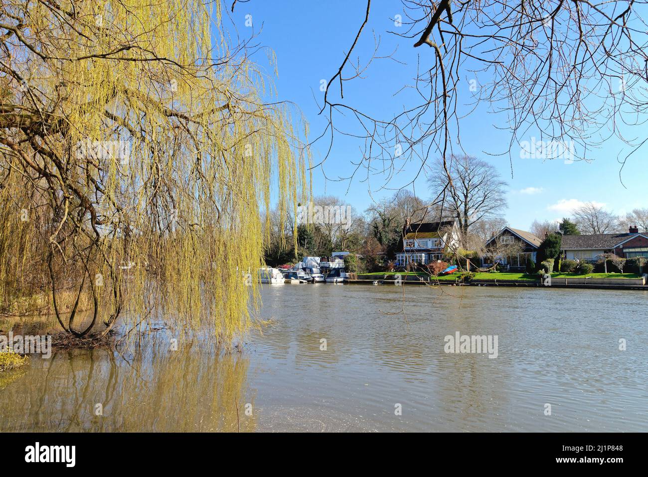 Riverside case sul Tamigi a Old Windsor in una soleggiata primavera Berkshire Inghilterra Regno Unito Foto Stock