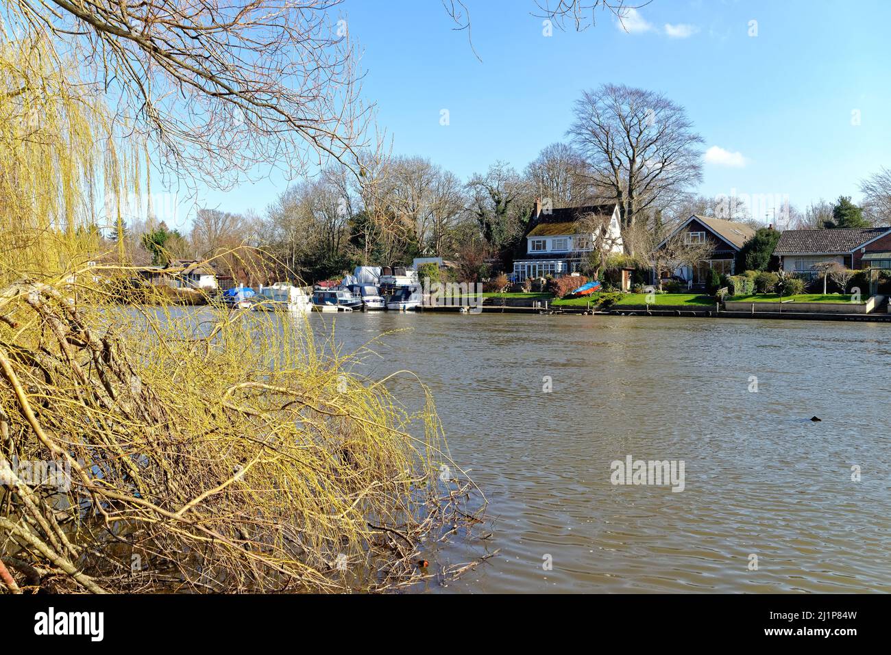 Riverside case sul Tamigi a Old Windsor in una soleggiata primavera Berkshire Inghilterra Regno Unito Foto Stock