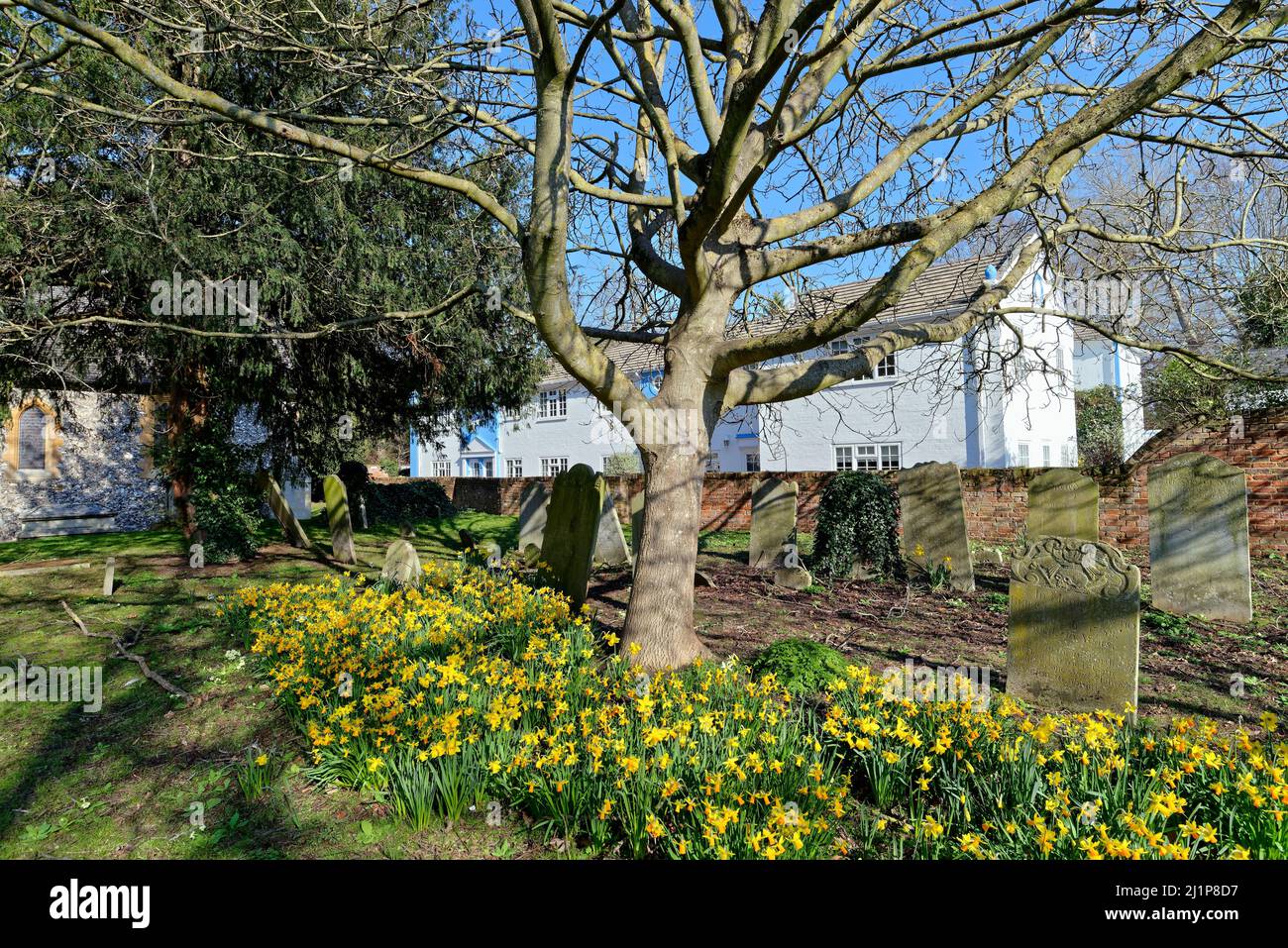 Il cimitero di St. Peter e St. Andrew, Old Windsor, in un giorno di primavera soleggiato Berkshire Inghilterra Regno Unito Foto Stock