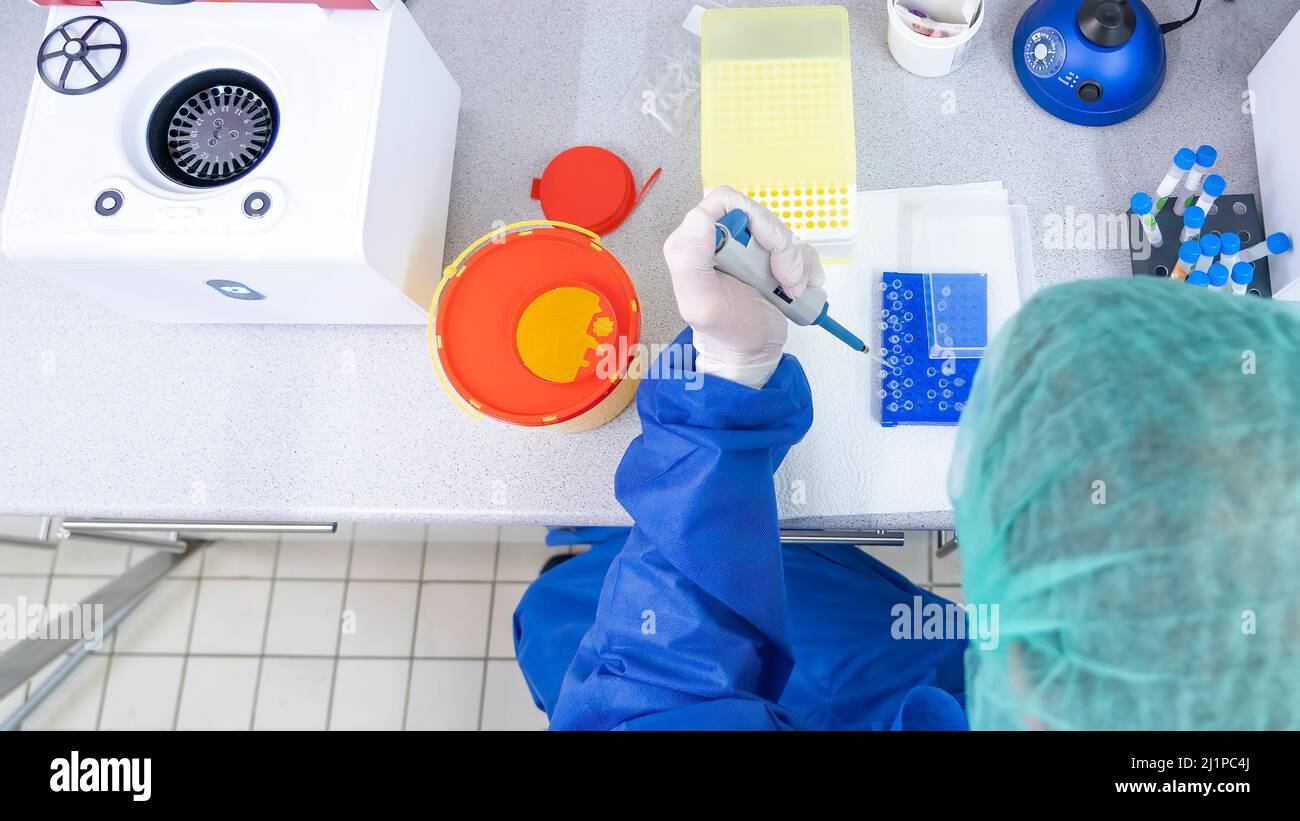 Scienziati di laboratorio medici in laboratorio che utilizzano micropipette a spostamento d'aria che riempiono una provetta di reazione incolore. Foto Stock