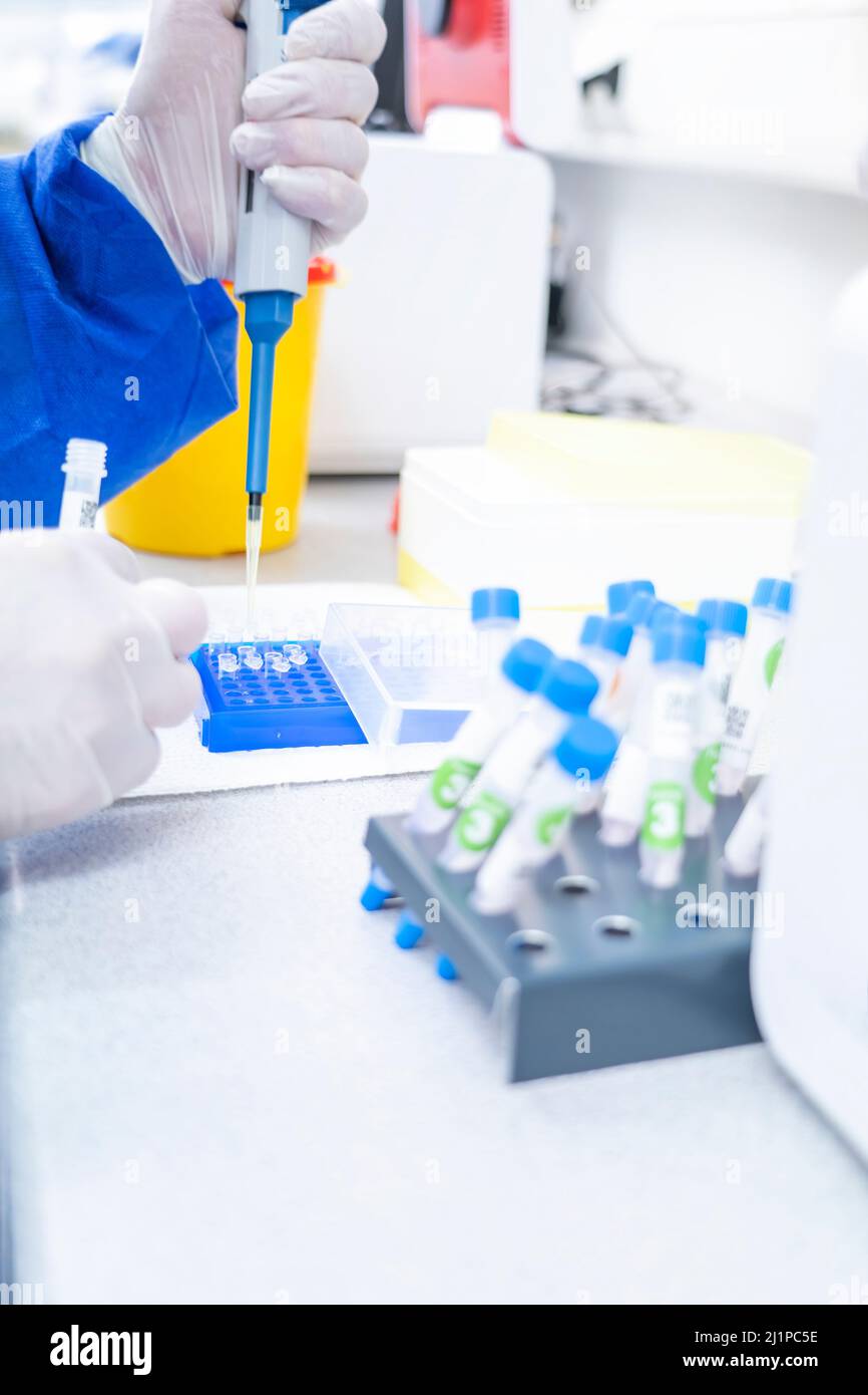 Mano in laboratorio micropipette a spostamento d'aria che riempiono una provetta di reazione incolore. Foto Stock