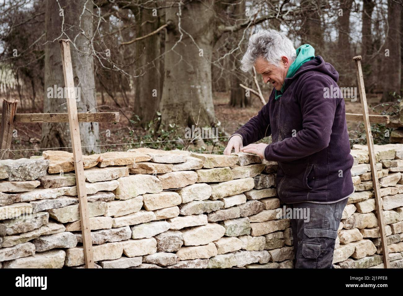 Un waller di pietra asciutta - walling di pietra asciutta nei Cotswolds Foto Stock