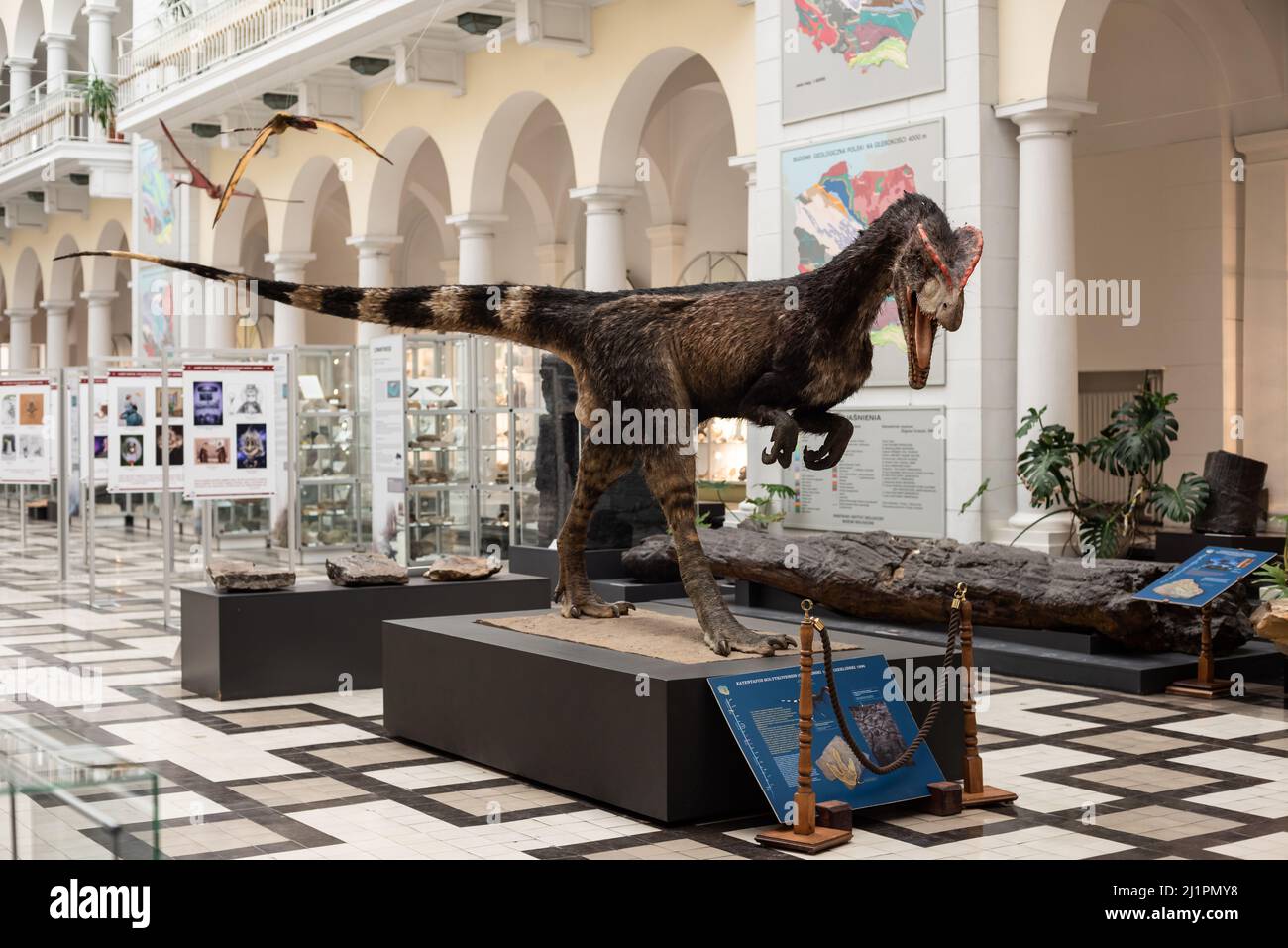Varsavia. Polonia. 03.21.2022. Il modello di dilofozaur nel Museo Geologico dell'Istituto Nazionale di Ricerca. Foto Stock