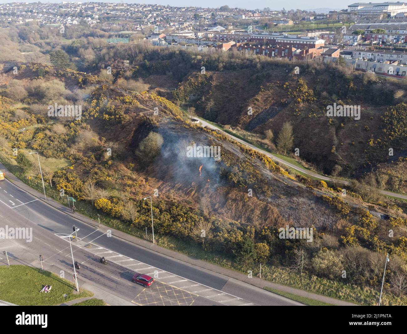 Cork, Irlanda, 27th marzo 2022.Grande Gorse Fire a Glen Park. Credit: Damian Coleman/Alamy Live News Foto Stock