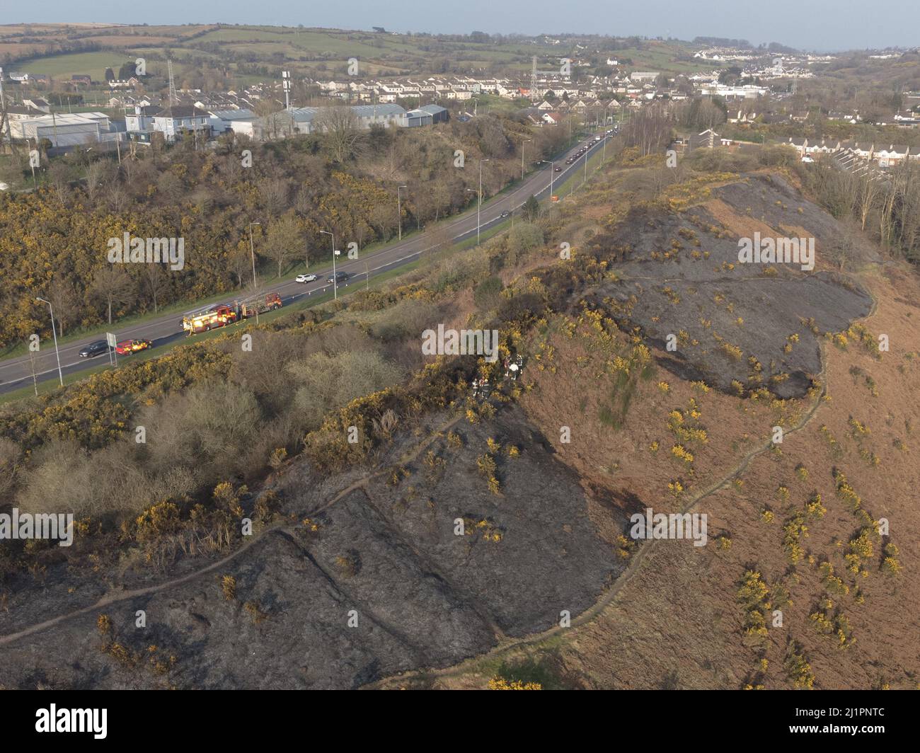 Cork, Irlanda, 27th marzo 2022.Grande Gorse Fire a Glen Park. Credit: Damian Coleman/Alamy Live News Foto Stock