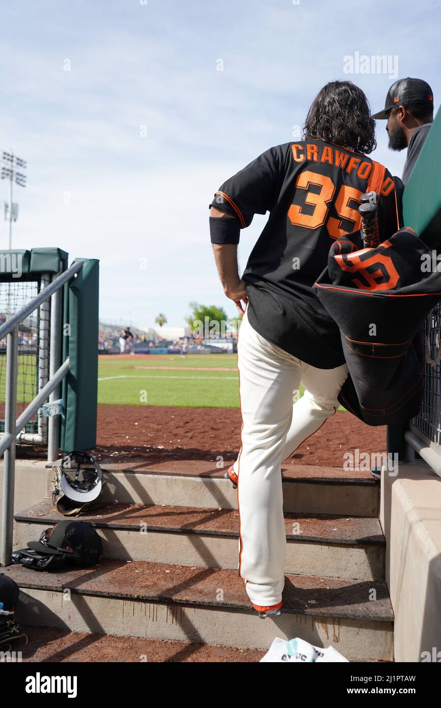 San Francisco shortstop Brandon Crawford (35) durante una partita di baseball degli allenamenti primaverili della MLB venerdì 25 marzo 2022, allo Scottsdale Stadium di Scottsdale, Ariz. (Scott Finkelmeyer/Image of Sport) Foto Stock