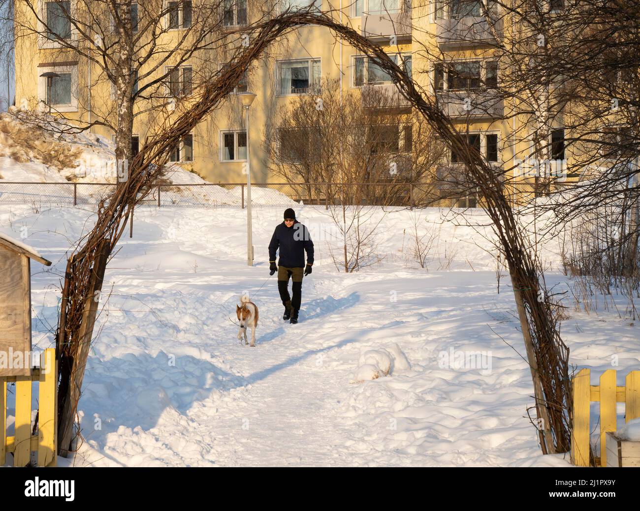 Rovaniemi, Finlandia - 17th marzo 2022: Un uomo che cammina il suo cane in un parco nevoso a Rovaniemi, Finlandia. Foto Stock