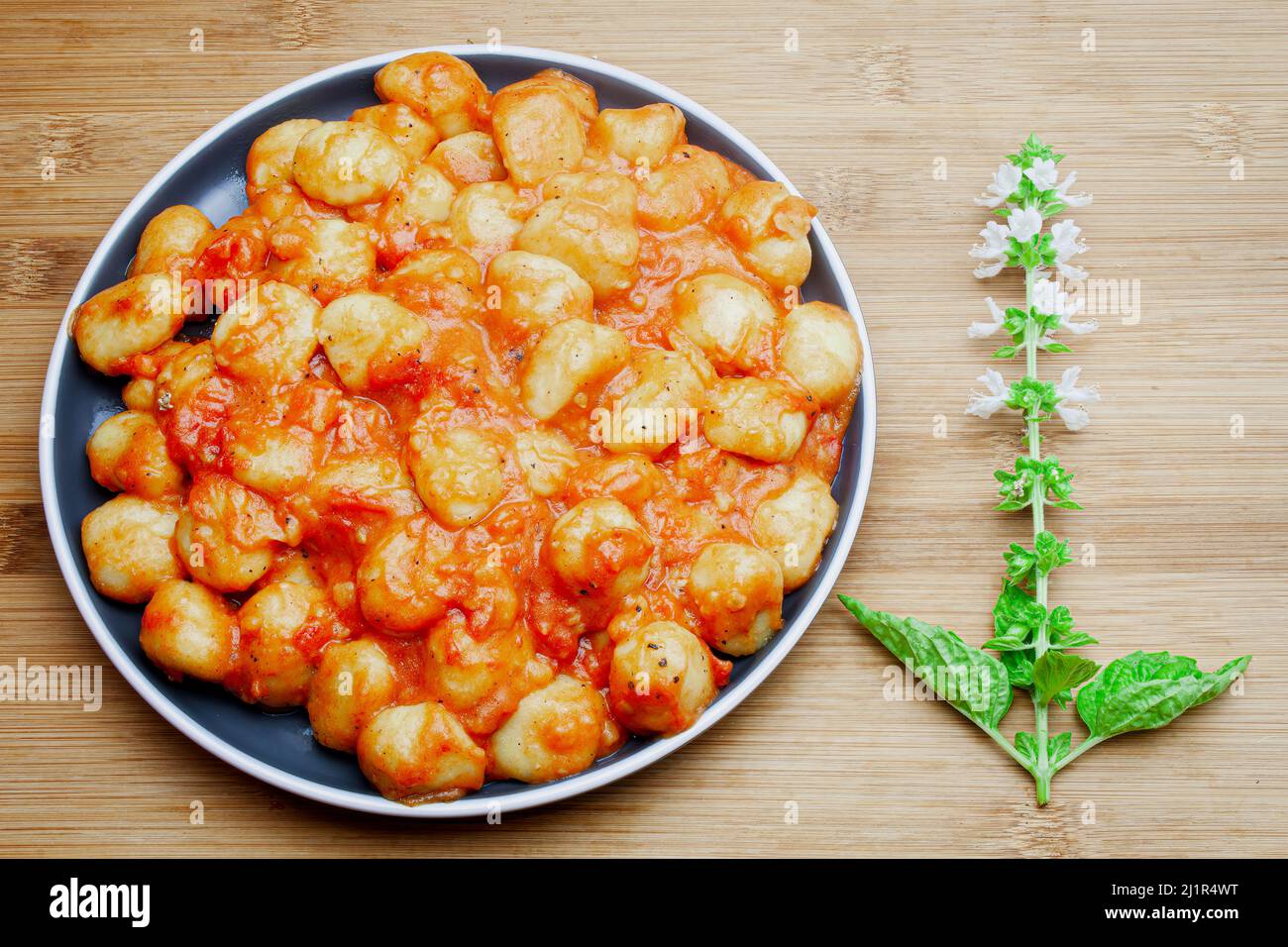 Gnocchi italiani fatti in casa in salsa di pomodoro aromatica serviti su un piatto decorativo e guarniti con erbe, basilico, pepe colorato, aglio e. Foto Stock