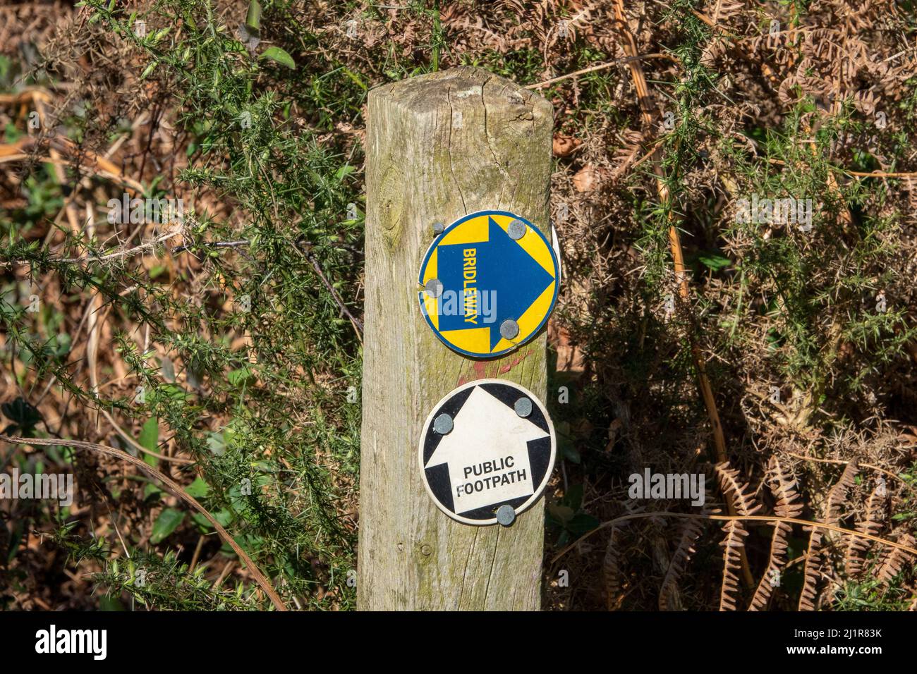 Un cartello per il sentiero pubblico bianco su nero e un ponte blu su giallo, entrambi i dischi su un palo di legno con bracken essiccato sullo sfondo Foto Stock