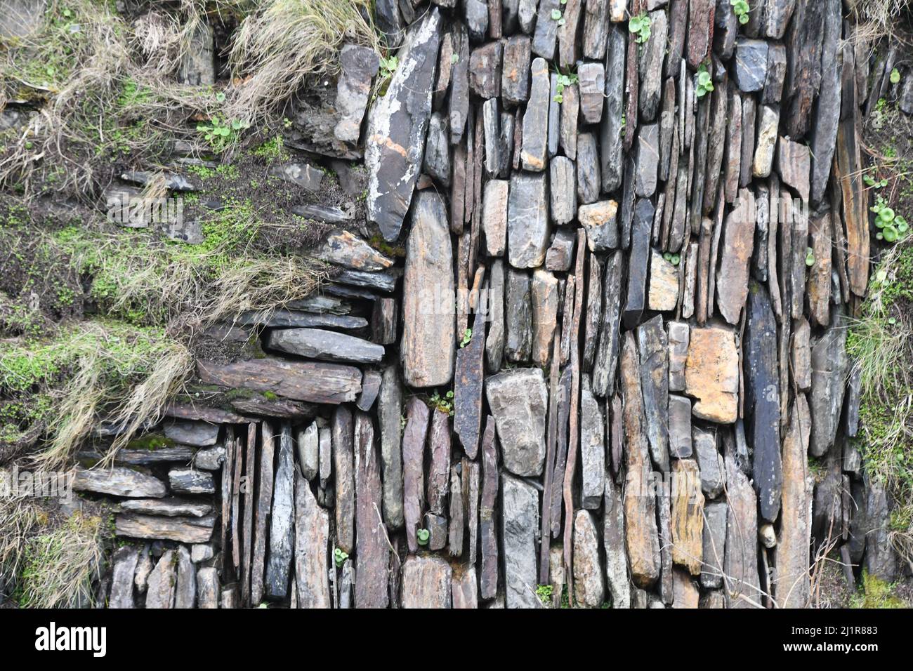 Muro di pietra che fiancheggiano il sentiero in Boscastle, Cornovaglia, terreno riempito con pietre e rocce in entrambi i corsi verticali e orizzontali. Coperto di erba, pennywo Foto Stock
