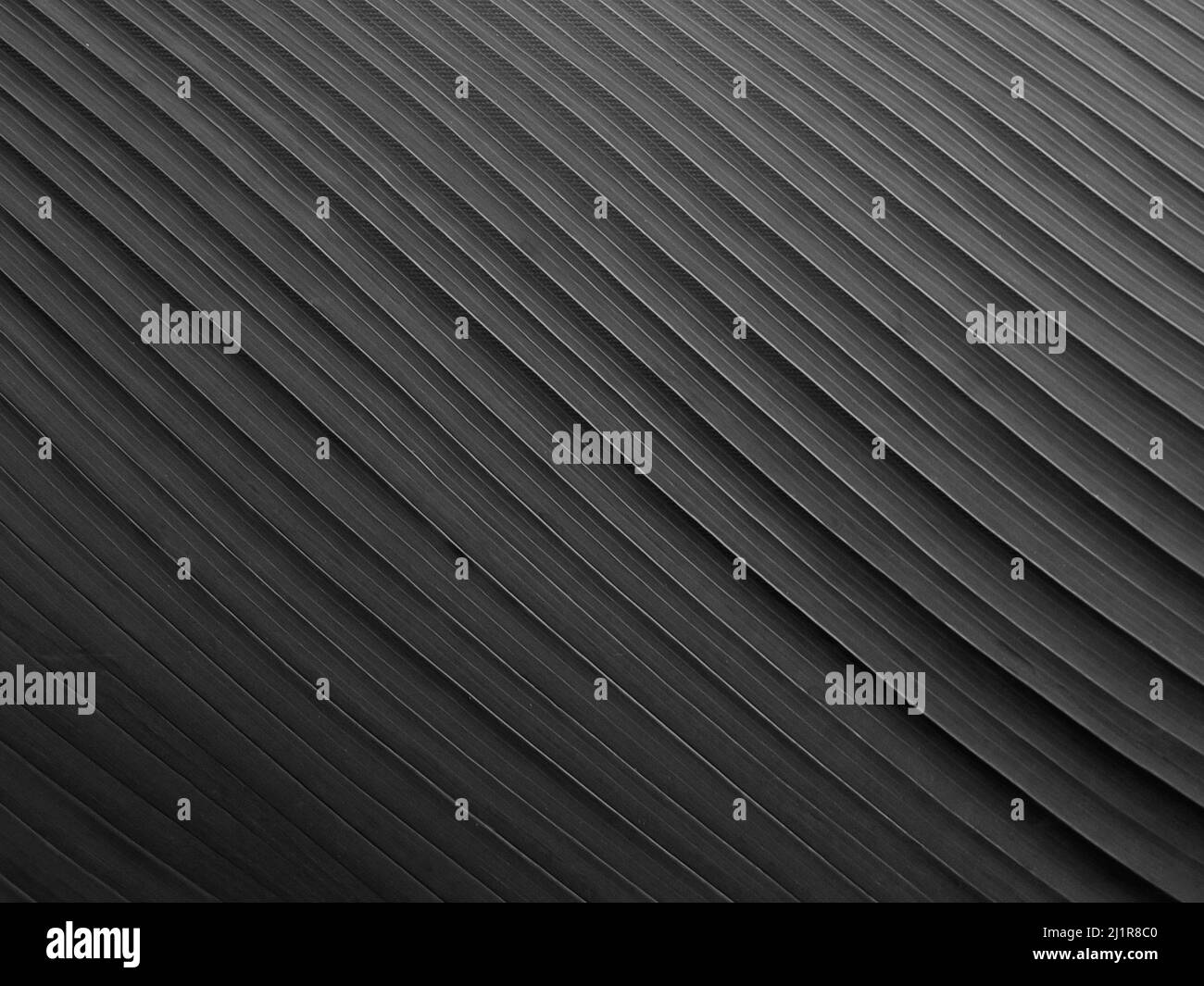 Elegante illustrazione vettoriale dello sfondo nero con texture grunge vintage stressata e colore grigio scuro color carbone color paint.Grey parete texture cemento. IND Foto Stock