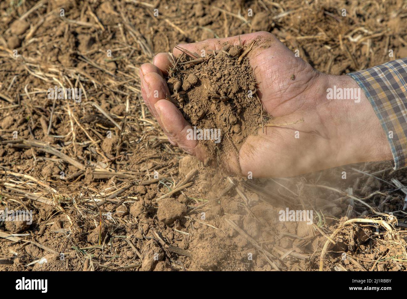 Un agricoltore esamina in mano il suo suolo asciutto e polveroso. Già a marzo ha piovuto appena ed i campi si sono asciugati. T Foto Stock