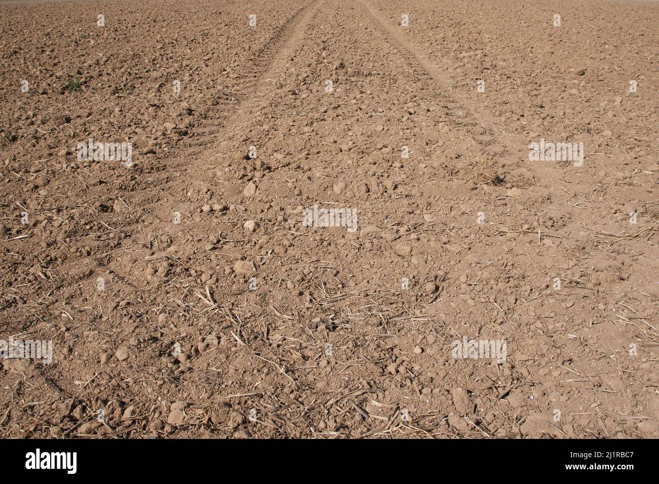 Solo le impronte dei pneumatici del trattore possono essere viste sul terreno di parchinato, e non vi è alcun segno di crescita dal seme giovane. Foto Stock
