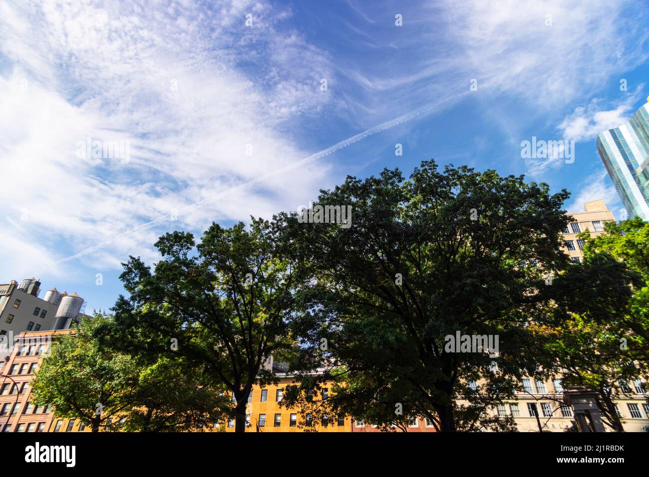 Le nuvole autunnali e il sentiero del vapore galleggiano sugli alberi a East Village NYC Foto Stock