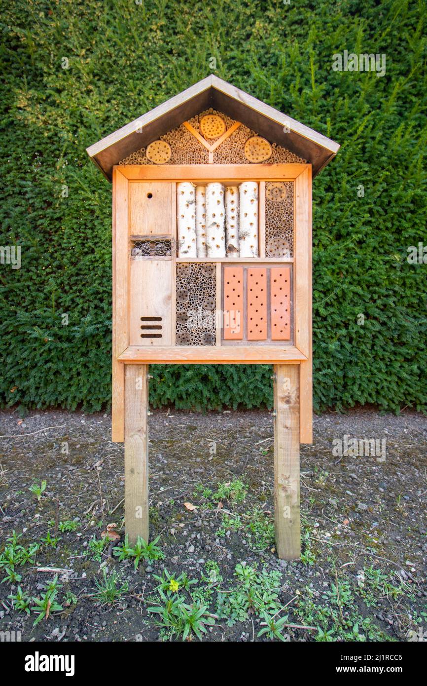 Casa per insetti hotel per insetti Erddig Maniero del XVIII secolo e giardini paesaggistici e lago vicino a Wrexham Foto Stock