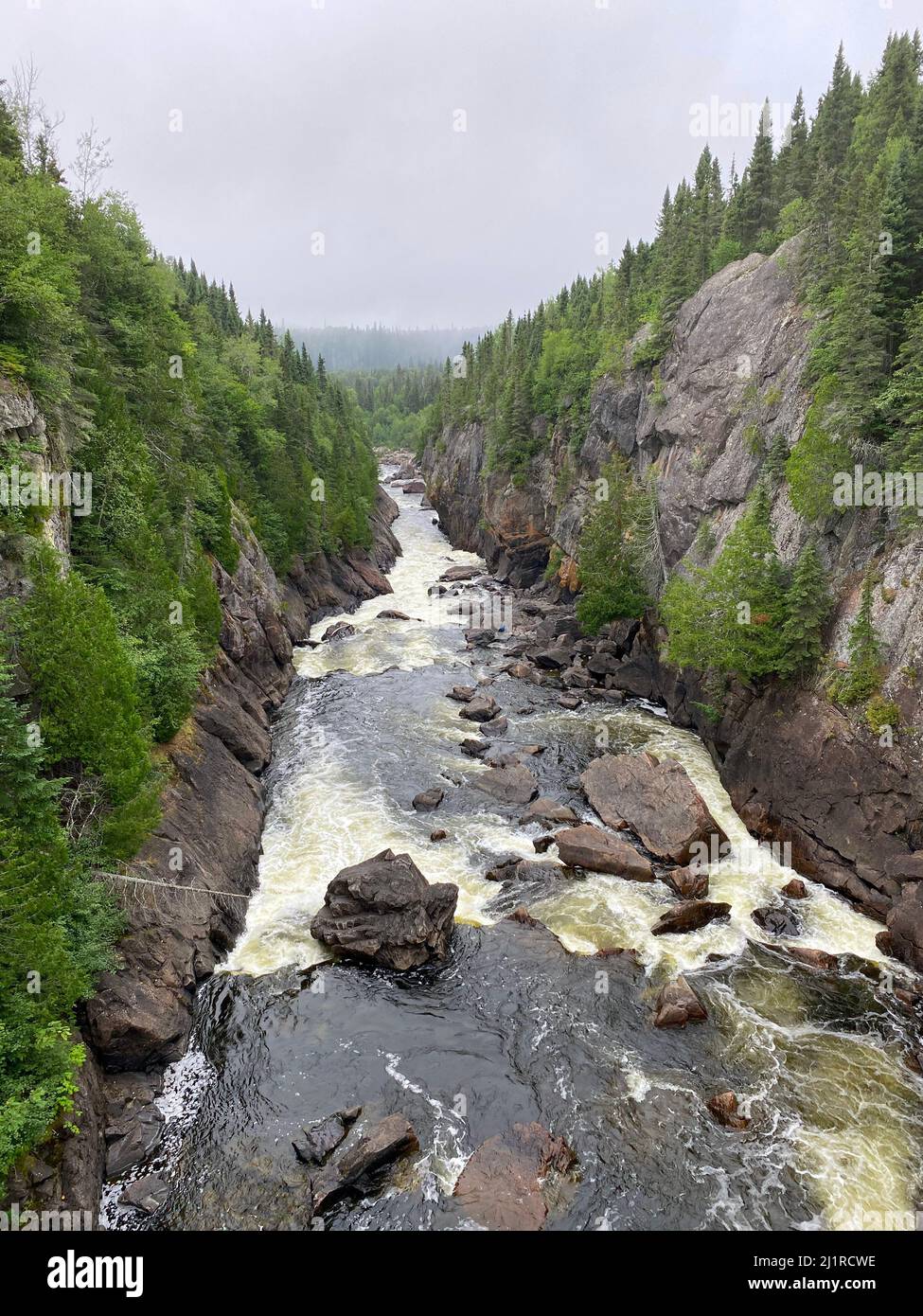 Fiume in rapido movimento attraverso un ripido canyon in una pineta nel nord dell'Ontario Foto Stock