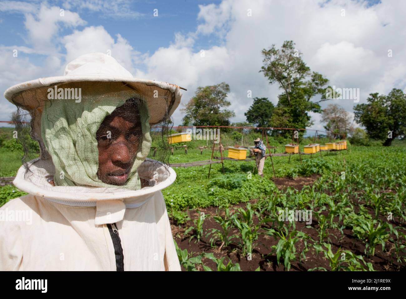 Progetto di apicoltura e miele, Mercy, in tuta bianca. Si tratta di un progetto comunitario sostenuto dalle ONG locali IPI, Meru, Kenya Foto Stock