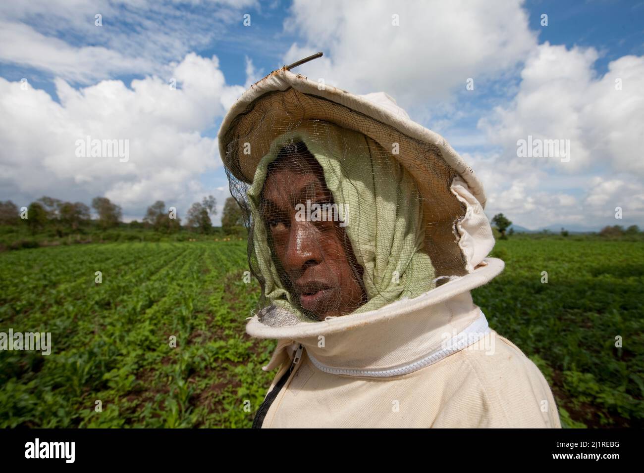 Progetto di apicoltura e miele, Mercy, in tuta bianca. Si tratta di un progetto comunitario sostenuto dalle ONG locali IPI, Meru, Kenya Foto Stock