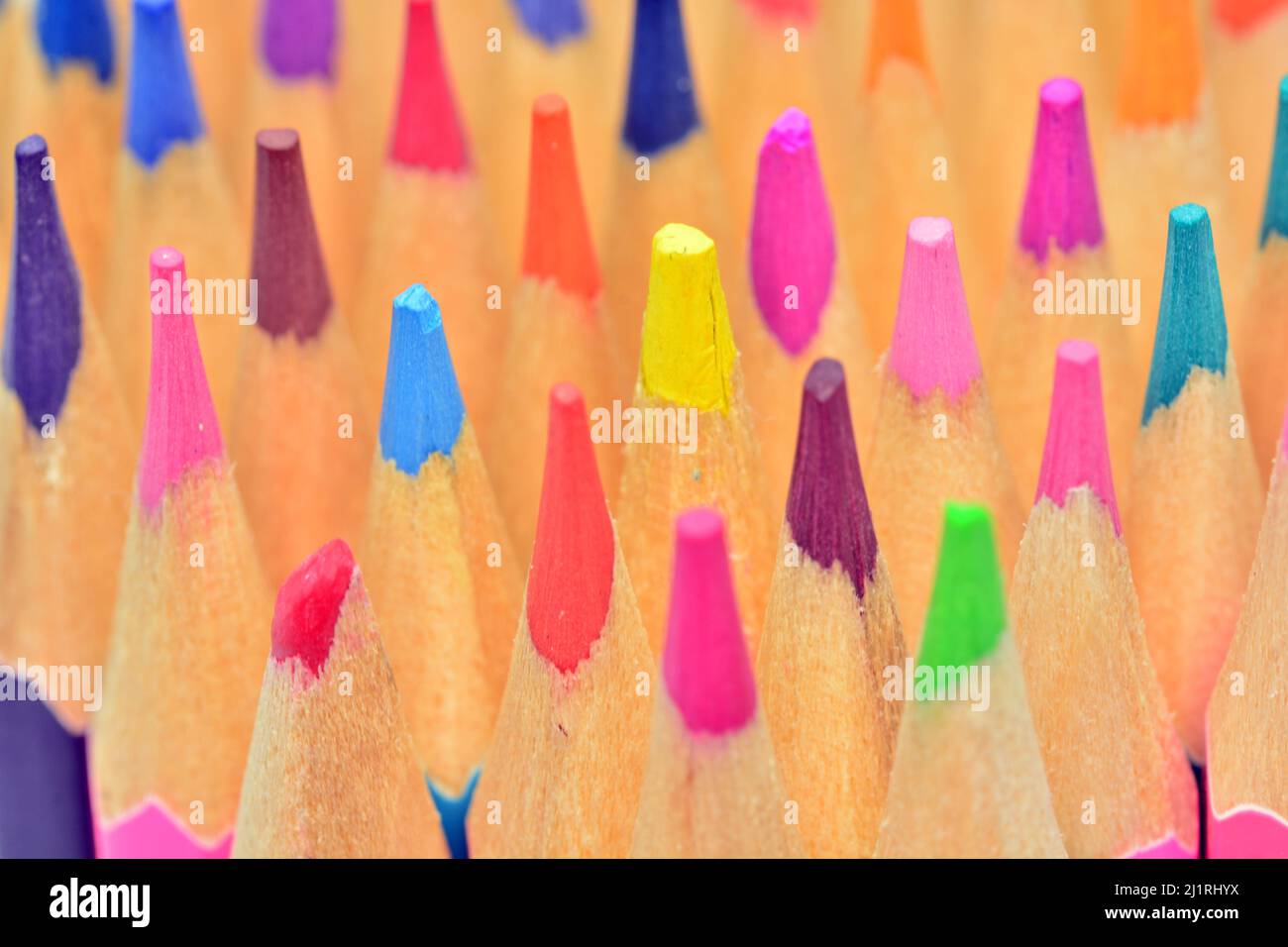 detalles de puntas de lápices de colores, aislado sobre fondo blanco Foto Stock