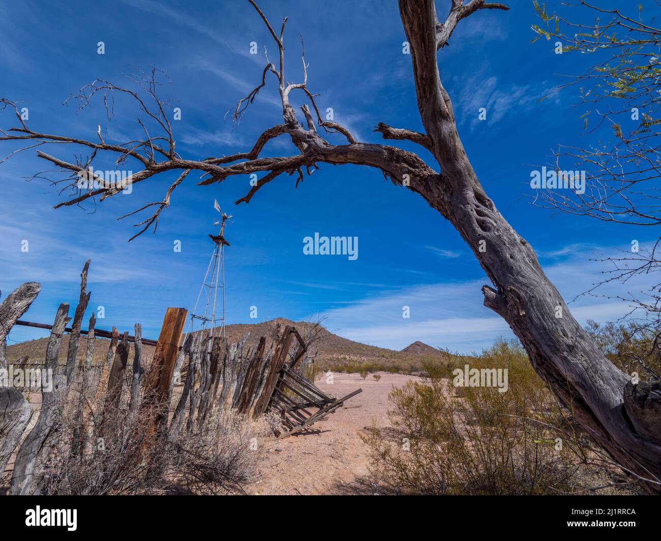 Mulino a vento, campo linea Pozo Nuevo, Pozo Nuevo Road, Organ Pipe Cactus National Monument, Arizona. Foto Stock