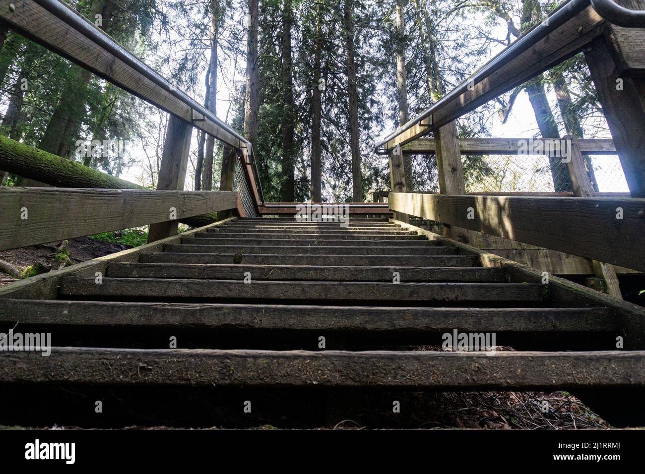 Scala in cemento e metallo in mezzo al bosco. Foto Stock