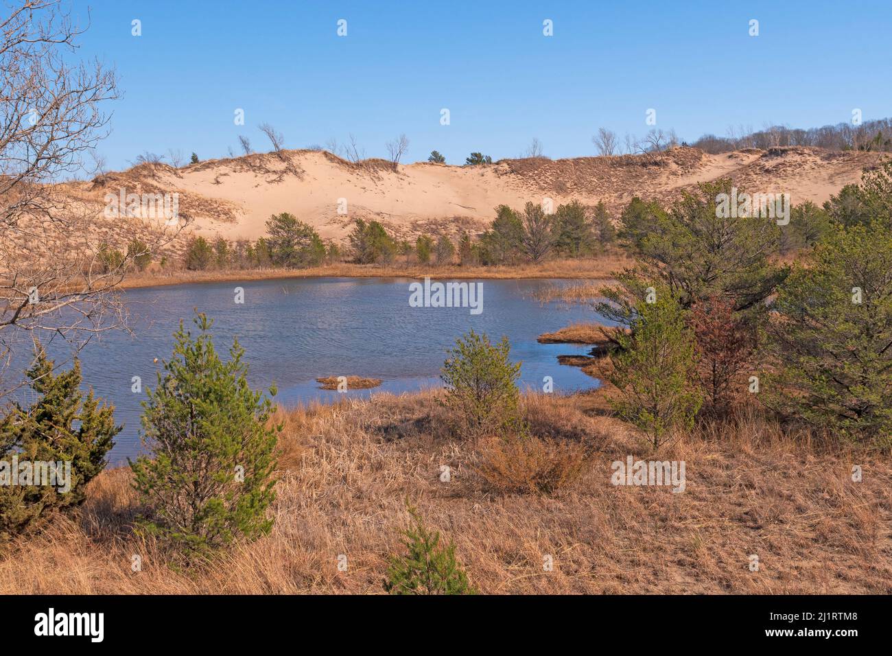 Piccolo Wetland nascosto nelle dune nel Parco Nazionale delle dune dell'Indiana in Indiana Foto Stock